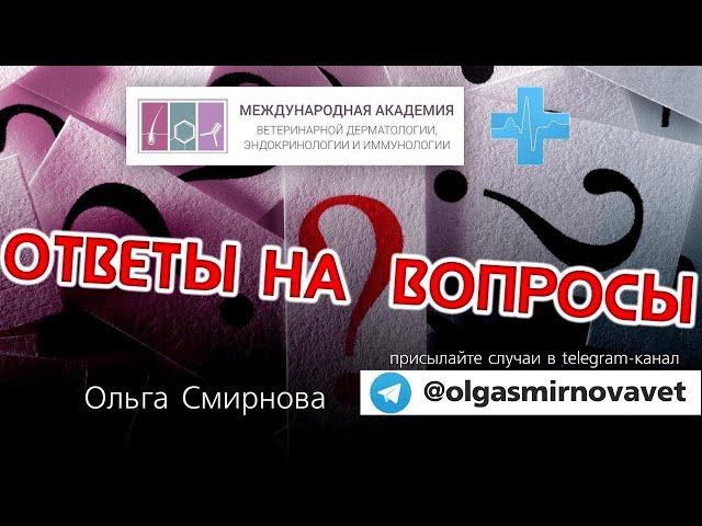 Ответы на вопросы. Выпуск от 21.12.2024