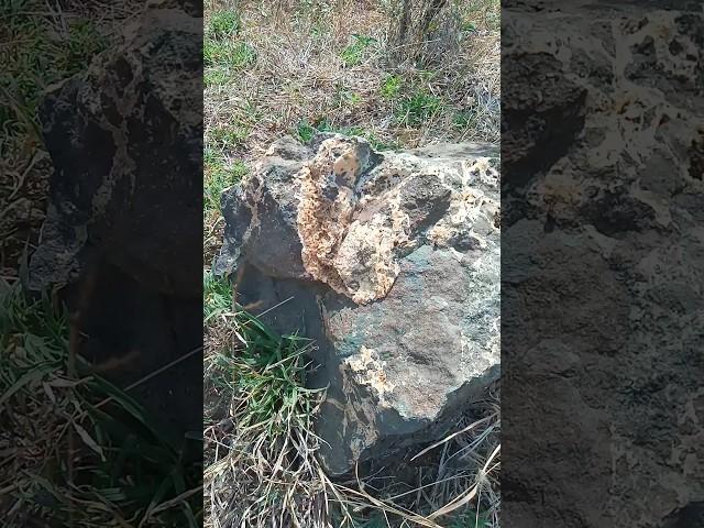 Formation Of Crystal In Rock#shorts #earth #gems #india #crystals #nature #rock