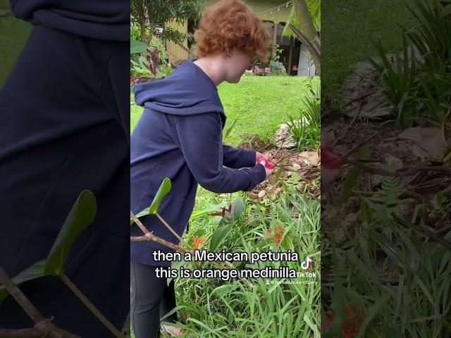 Come pick flowers at our Sanctuary!