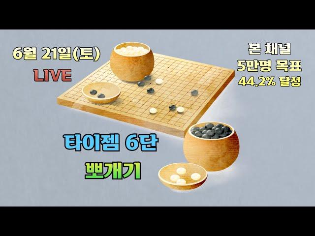 [생]타이젬바둑 6단 뽀개기