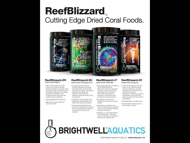 Brightwell ReefBlizzard Foods