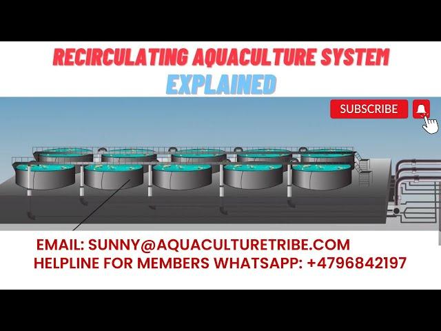 How does the RAS (recirculating aquaculture system) work ?