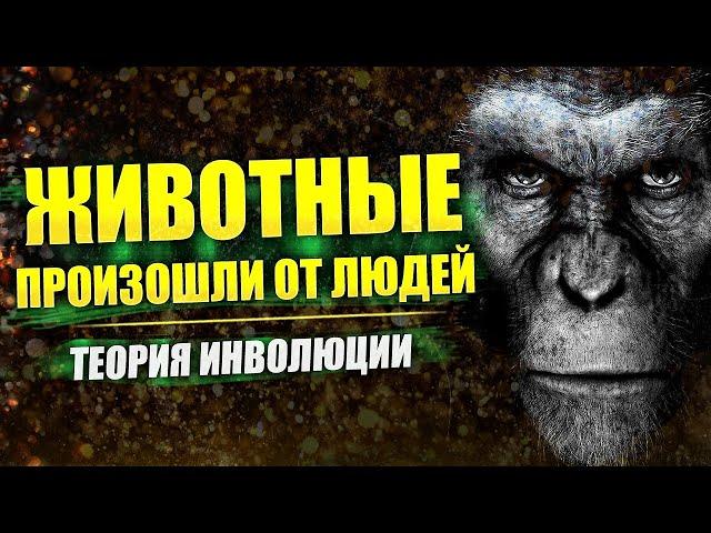 АНТИ-Дарвин: теория ИНВОЛЮЦИИ // Александр Белов