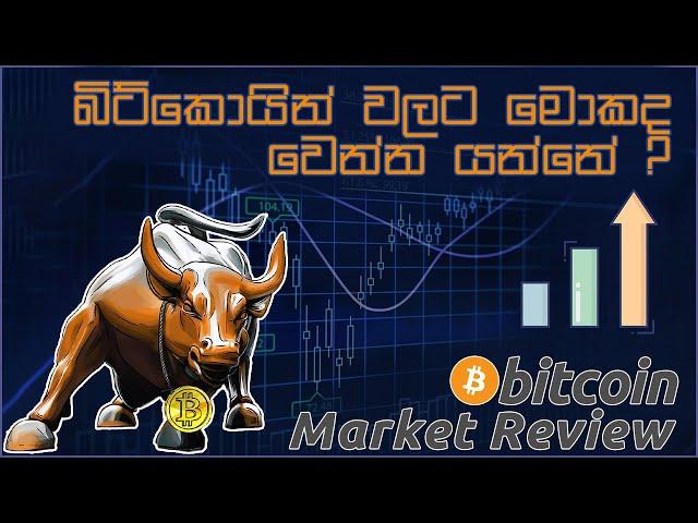 What will happen to Bitcoin | Bitcoin future | Latest update Bitcoin 2021/03/16