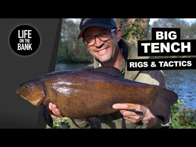 TENCH FISHING RIGS | NEW WATER TACTICS