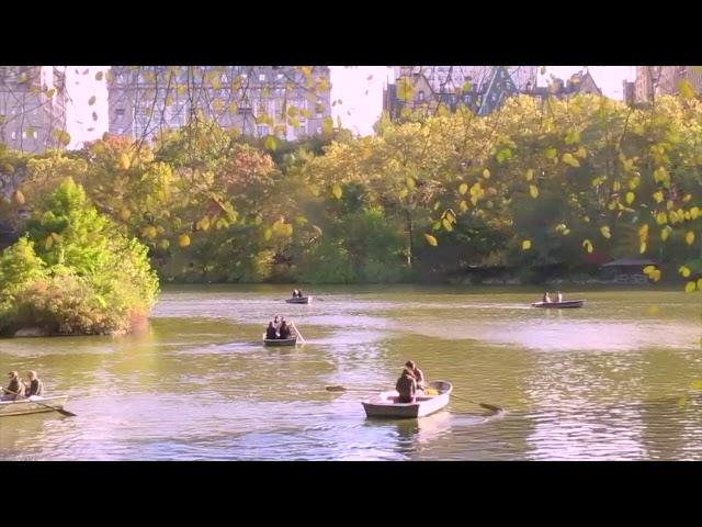 60-Second Escape: Central Park Sunday