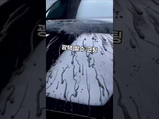 광택 코팅 발수 세 마리 토끼를#차량용품 #세차용품