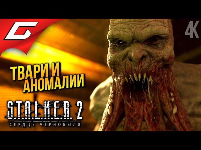 УЧЁНЫЕ и ЗОМБИ  STALKER 2: Heart of Chornobyl ◉ Прохождение 3