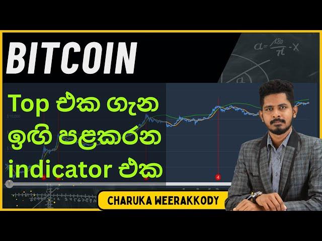 Bitcoin Pi Cycle Top Indicator | Sinhala