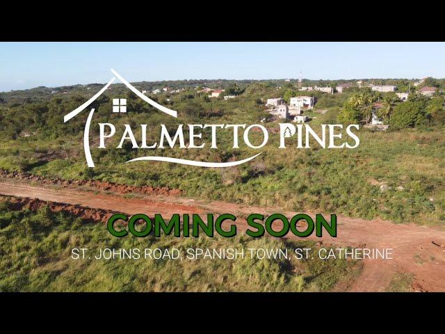 Upcoming 2024 | Palmetto Pines Gated Land Development | Palmetto Pines Spanish Town | Claudia Davis