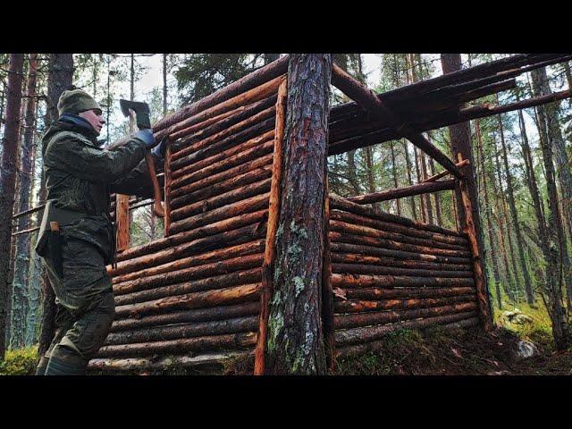 Выживание в лесу - строю убежище в тайге. Закрыл стену