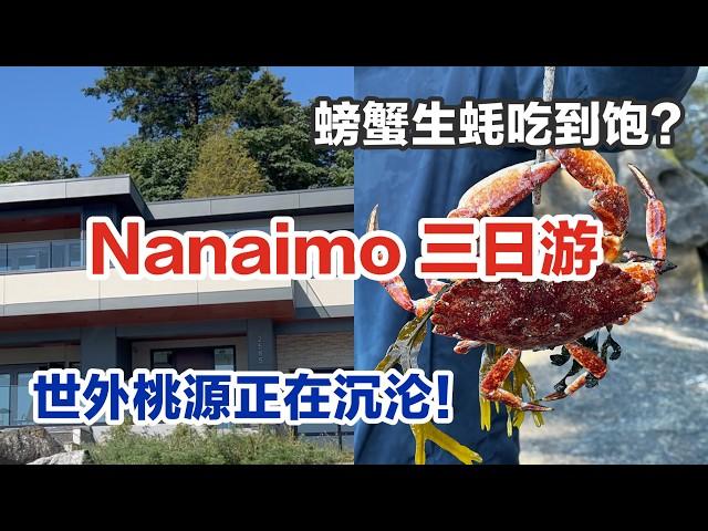 我们回来啦！ 温哥华岛Nanaimo游玩｜民宿地下室也能看海景|岛上homeless 问题也这么严重？