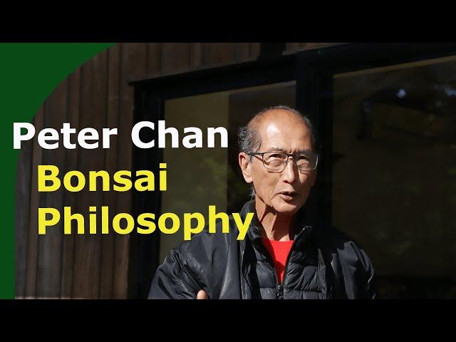 Bonsai: In conversation with Peter Chan (Herons Bonsai)