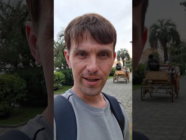 Карета в Гагре