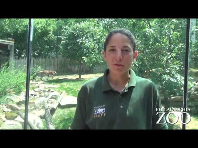 Ask the Philadelphia Zoo Keepers: What is your favorite memory from your time as a keeper?