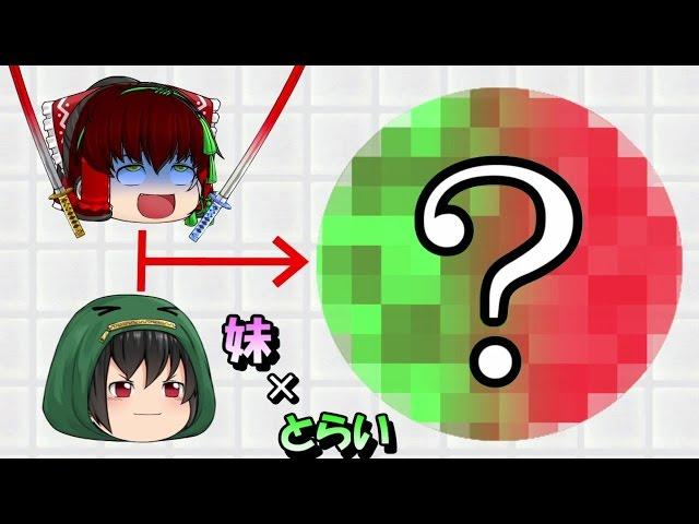 【ゆっくり茶番劇】霊夢と魔理沙の子供！？それとも合体！？ 二人のそっくりなゆっくりキャラ登場!!part14【とらいあんぐる】