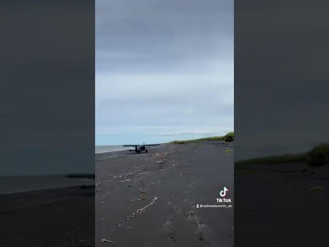 Beach combing on the Bering Sea Coastline, Alaska