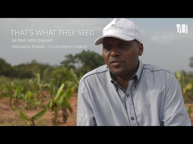 Mamadou Koladé, le bon sens paysan