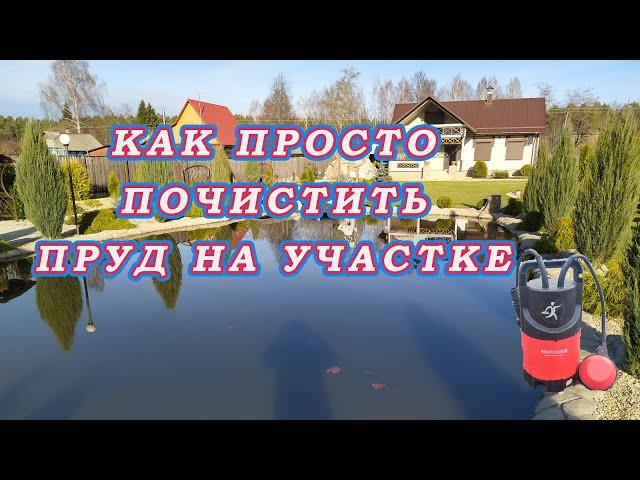 ЧИСТЫЙ ПРУД без Цветения воды. Простой Способ! Как почистить пруд на участке!