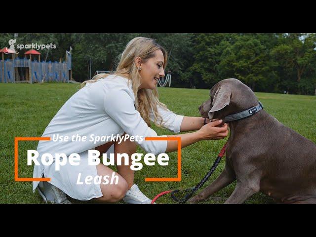 SparkyPets Heavy Duty Rope Bungee Leash for Large and Medium Dogs