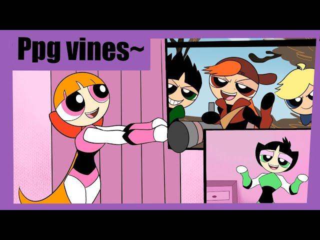 Powerpuffgirls vines~~~