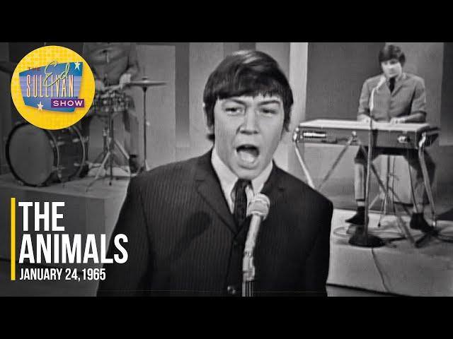 The Animals "Don't Let Me Be Misunderstood" on The Ed Sullivan Show