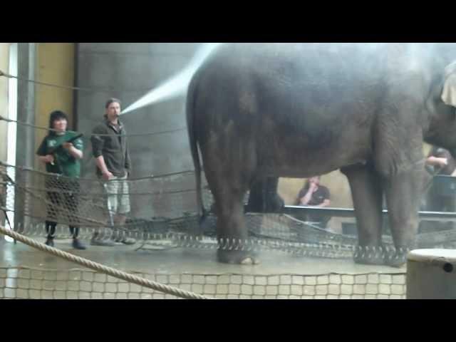 Zoo Ostrava Jarka ze Sokolova