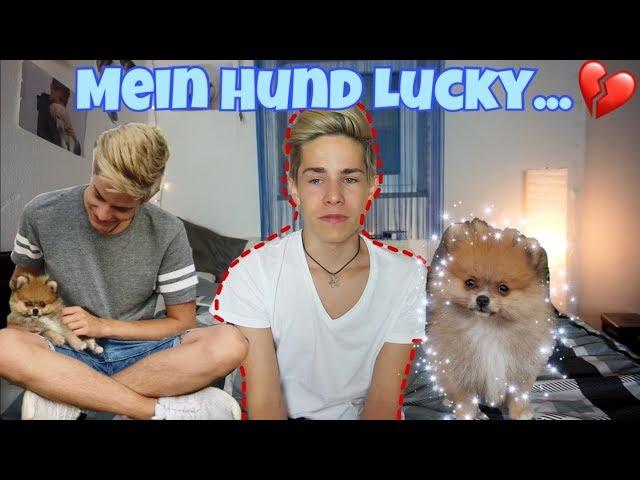 Mein Hund Lucky.../ itsofficialmarco