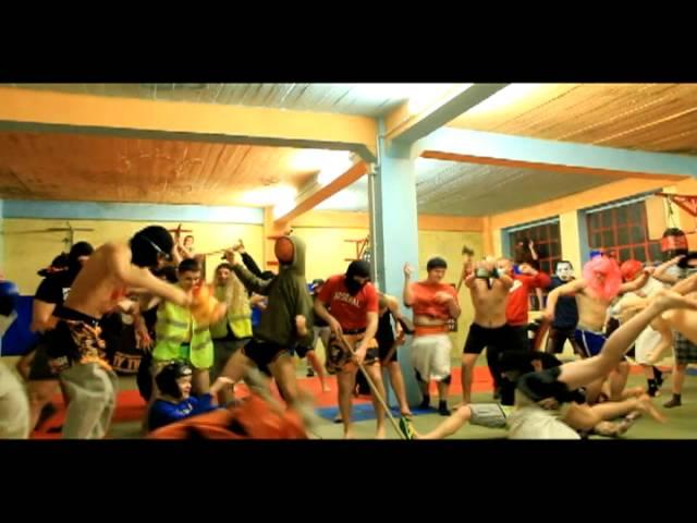 Harlem Shake 1: Fight Academy Stargard