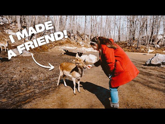 The ULTIMATE Quebec Road Trip (In Winter!) | Van Life Canada