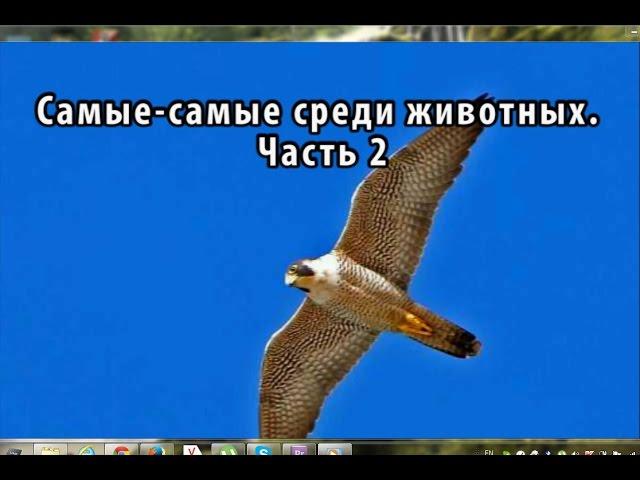 Самые самые среди животных - Часть 2