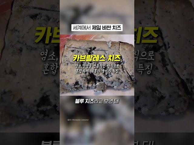 치즈 한입에 100만 원