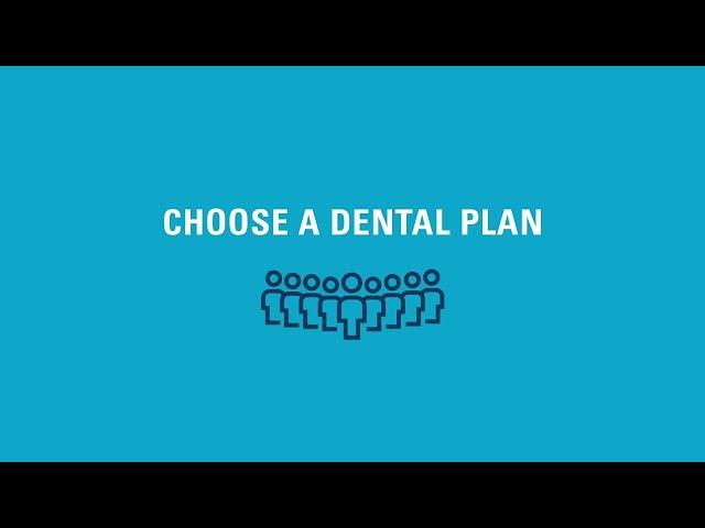 The power of one: Dental plans for employers from Blue Cross MN