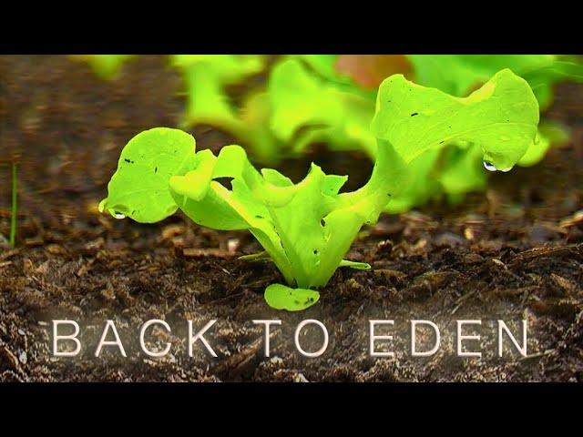 Back To Eden Gardening Documentary Film - How to Grow a Regenerative Organic Garden