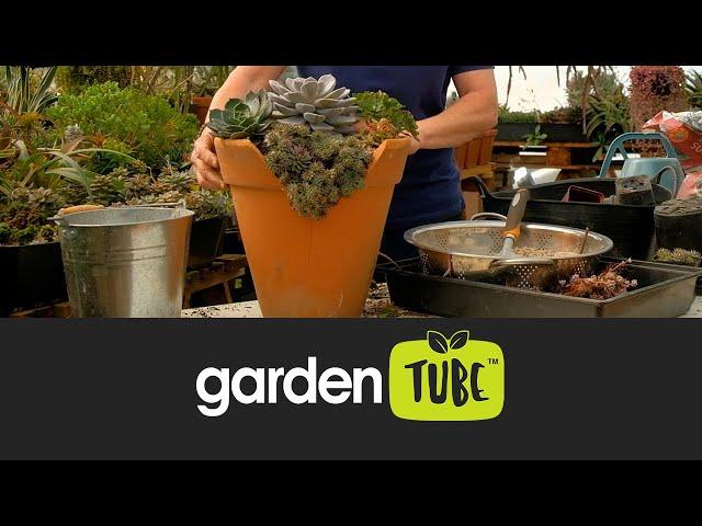 How to upcycle a broken pot