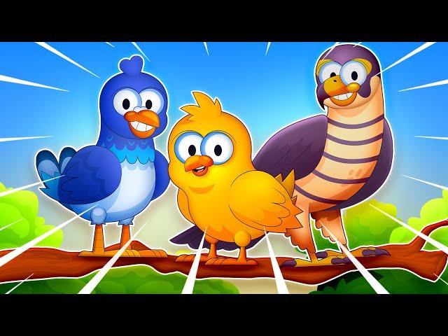 Vogelkunde  + Mehr Lernvideos für Kinder | Kleine Schlaumeier