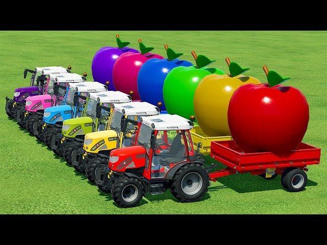 CASE vs FENDT vs JOHN DEERE vs JCB TRACTORS TRANSPORT APPLES - Farming Simulator 22