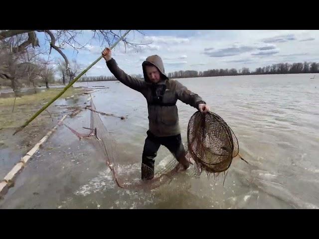 ЗАПРЕЩЕННАЯ РЫБАЛКА НА ФИТИЛИ И ХАПУГИ! Рыба есть но раньше было больше!