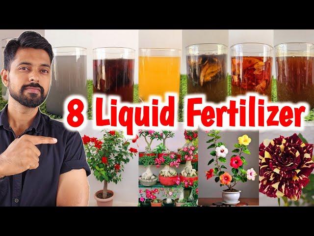 Top 8 Liquid Fertilizer for Plants| Fertilizer for ROSE plants