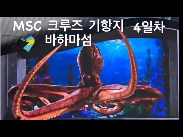 [msc#7]Meraviglia 바하마 섬 크루즈 여행 기항지 추천 코스 (여왕의 계단, 바하마 로컬 식당 추천) & white night 선상파티