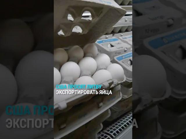 "Литва готова одолжить американским союзникам свои яйца". Литва поможет решить яичный кризис в США?