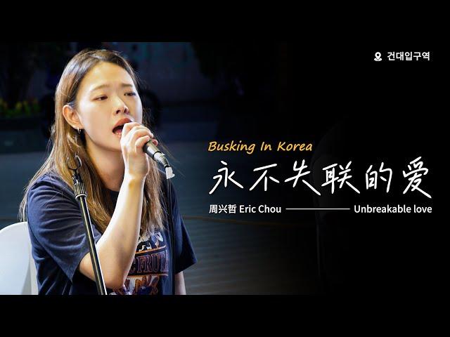 在韩国街头唱中文歌｜周兴哲 - 永不失联的爱（中韩版）｜OUBA MUSIC