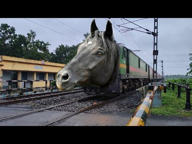 Dangerous Mad Horse Headed Agartala Garibrath Express Furious Moving out at Railgate