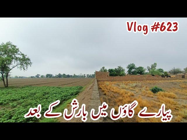 Rain in village|Rain in Bhakkar|Beautiful weather after rain|Vlog 623