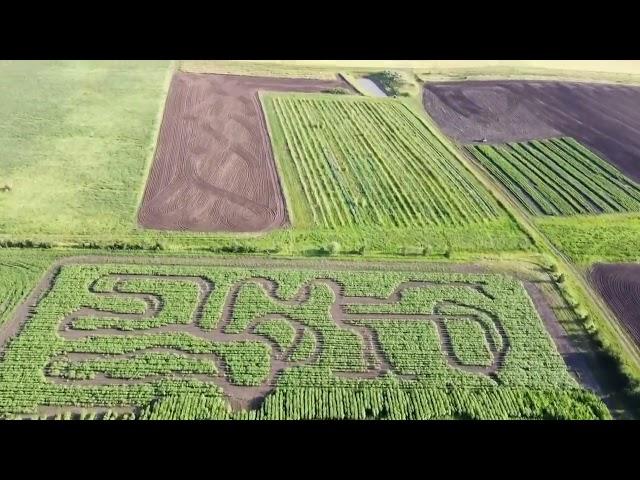 Summer 2023 Adventures at Bowden Sun Maze and Eagle Creek Farms in Bowden, Ab.