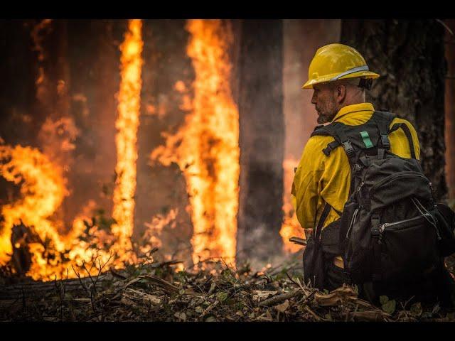 A New Strategy for Addressing the Wildfire Epidemic in California | Webinar