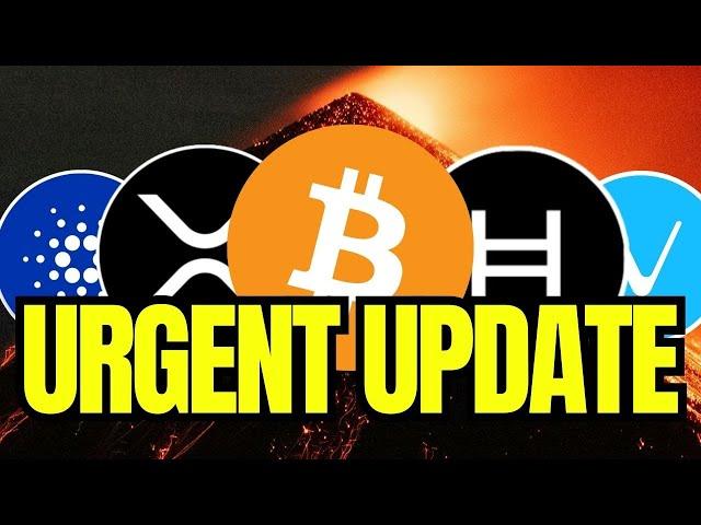 Crypto Market Flash Crash Update !! | What's Happening With The Market? (HBAR, VET, Cardano, XRP)️