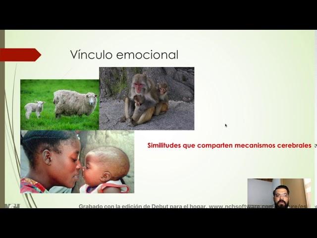 NEUROBIOLOGÍA DEL AMOR