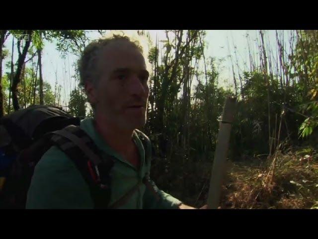 Presenter Gordon Buchanan is trapped by a forest fire - Wild Burma: Nature's Lost Kingdom - BBC