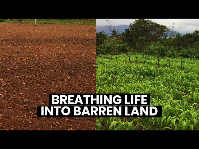 She Grew 5000 Plants on Barren Land